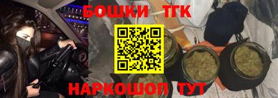 прущие грибы Нальчик