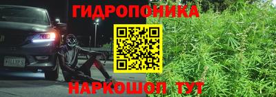 прущие грибы Нальчик