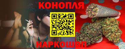 прущие грибы Нальчик